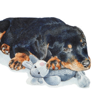 cute puppy rottweiler cuddling teddy bear