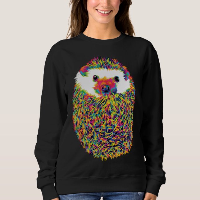 Cute Rainbow Hedgehog Sweatshirt (Vorderseite)