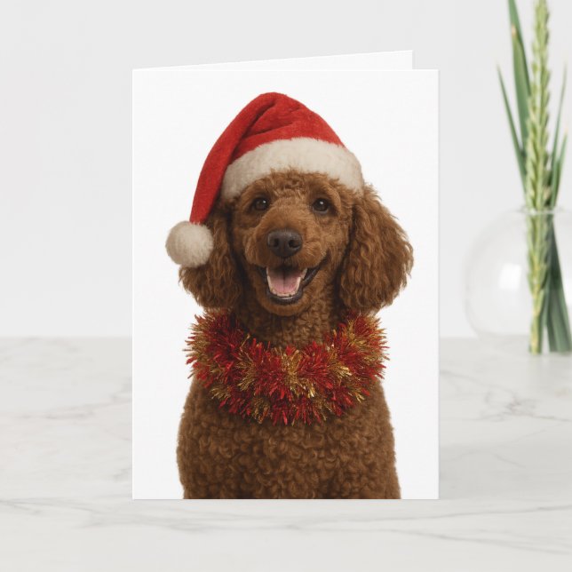 Cute red / brown Poodle Christmas card Karte (Vorderseite)