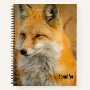 Cute Red Fox Wilderness Nature Fotograf Notizbuch