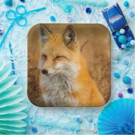 Cute Red Fox Wilderness Nature Fotograf Pappteller