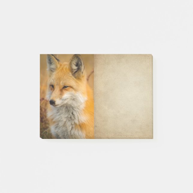 Cute Red Fox Wilderness Nature Fotograf Post-it Klebezettel (Vorderseite)