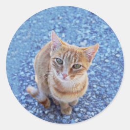 Cute red kitten runder aufkleber