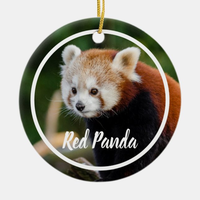 Cute Red Panda Frame Keramik Ornament (Vorne)