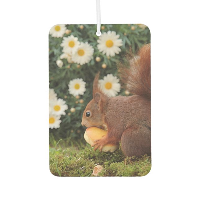 Cute Red Squirrel and Daisies Photo Autolufterfrischer (Vorderseite)