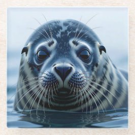 Cute Seal Close up Glasuntersetzer