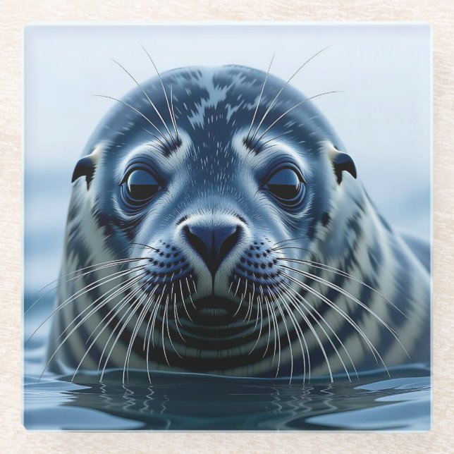 Cute Seal Close up Glasuntersetzer (Vorderseite)