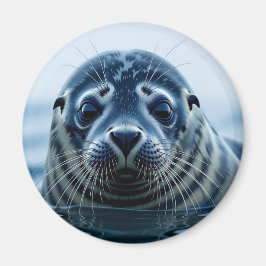 Cute Seal Close up Magnet