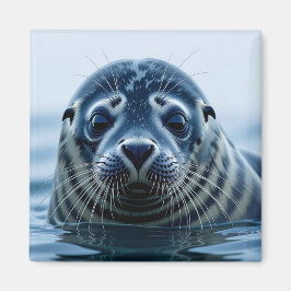 Cute Seal Close up Magnet