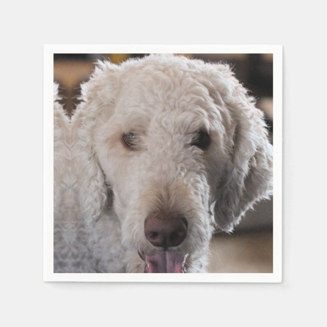 Cute Serviette (Vorderseite)