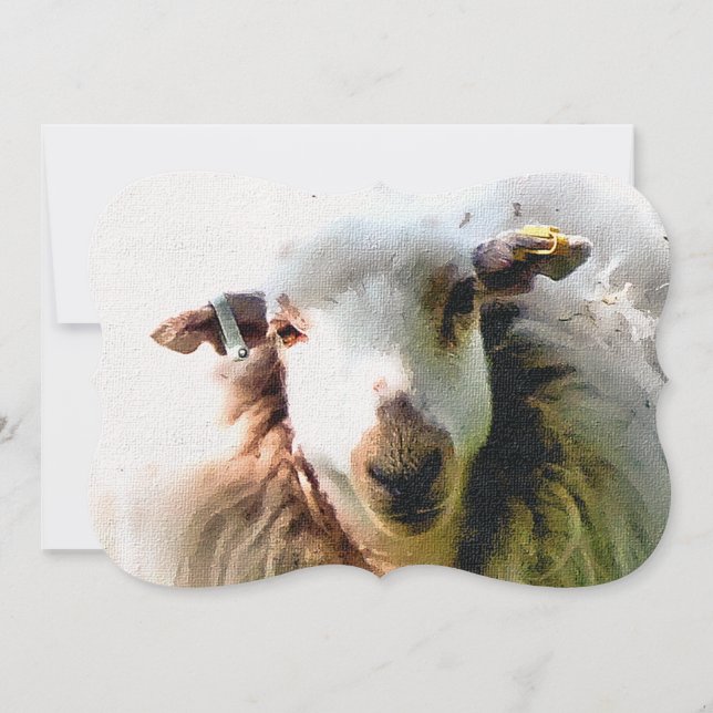 CUTE SHEEP Invitation (Devant)