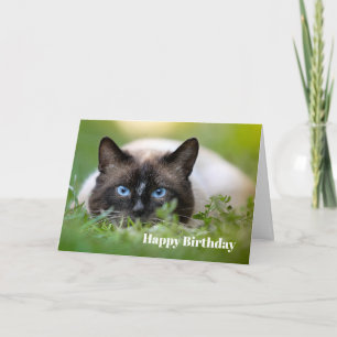 Cute Siamese Chat Photo Anniversaire Carte