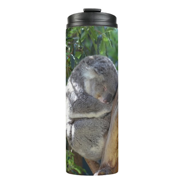 Cute Sleeping Koala in Tree Thermosbecher (Vorderseite)