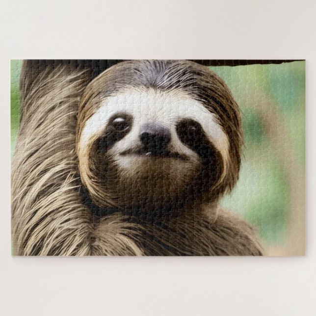 Cute sloth background (Horizontal)
