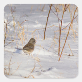 Cute small bird in the snow quadratischer aufkleber