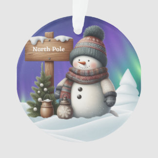 Cute snowman on North Pole with northern lights