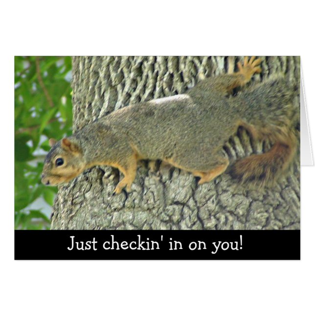 Cute Squirrel Archiver sur votre carte (Devant horizontal)