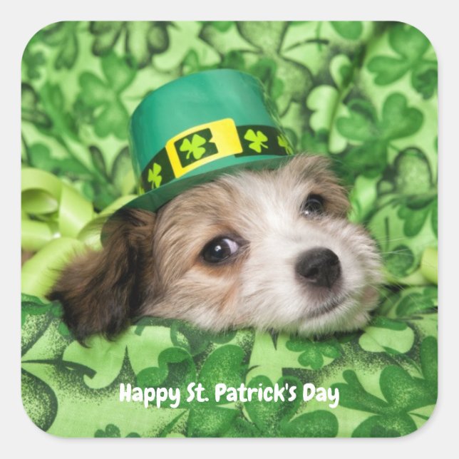 Cute St. Patrick's Day Puppy Quadratischer Aufkleber (Vorderseite)