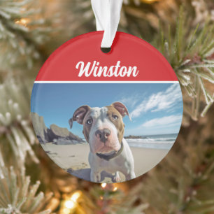 Cute Staffordshire Chien de Noël Photo