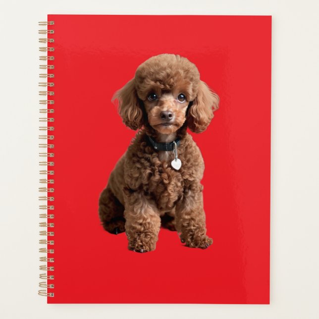  Cute Teacup Poodle Red Folder Planer (Vorderseite)