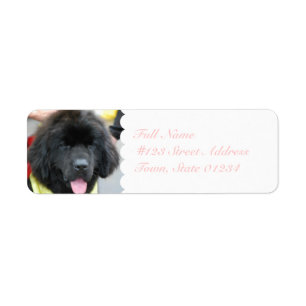 Cute Terre-Neuve Étiquettes du courrier
