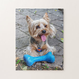 Cute Terrier Puzzle
