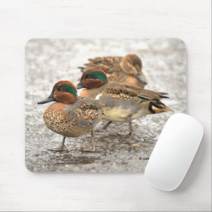 Cute Trio of Green-Winged Teals Ducks Mousepad