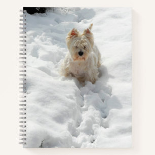 Cute Westie Dog dans le journal du Carnet de neige