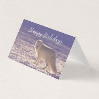 Cute White Arctic Fox neige hiver Photographie