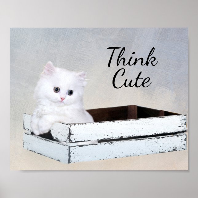 Cute White Persian Kitten Poster (Vorne)