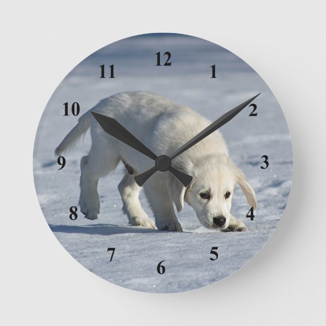 Cute White Puppy Snow Photo Runde Wanduhr (Vorderseite)