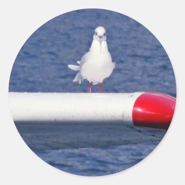 Cute White Seagull - Sticker (Vorderseite)