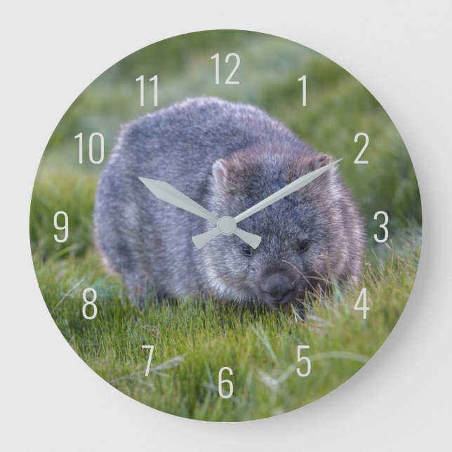 Cute Wombat Wildlife Animal Australia Green Große Wanduhr (Vorderseite)