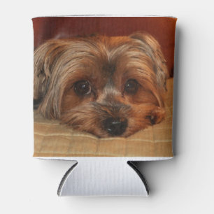 Cute Yorkshire Dosenkühler