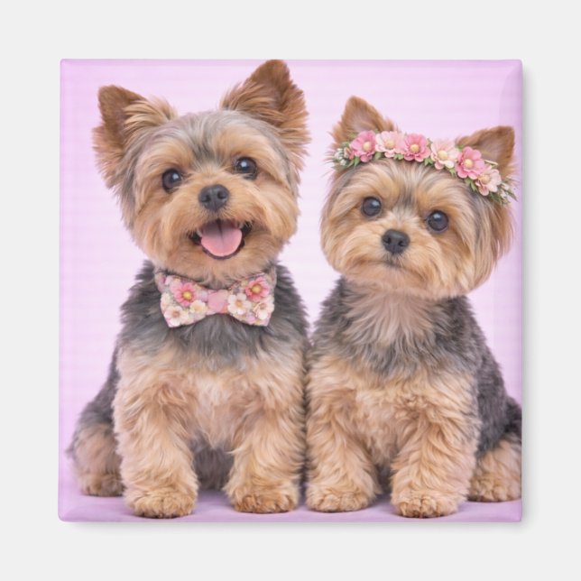 Cute Yorkshire Terrier Couple Valentine Magnet (Devant)