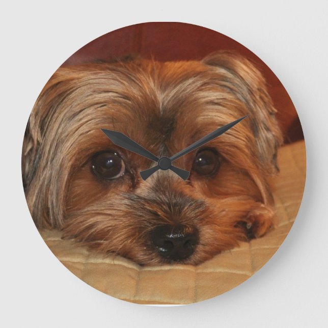 Cute Yorkshire Terrier Dog Große Wanduhr (Vorderseite)