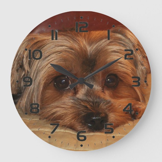 Cute Yorkshire Terrier Puppy Große Wanduhr (Vorderseite)