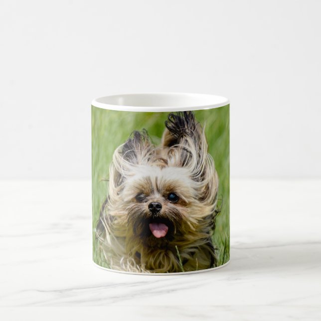 Cute Yorkshire Terrier Running Through Grass Kaffeetasse (Mittel)