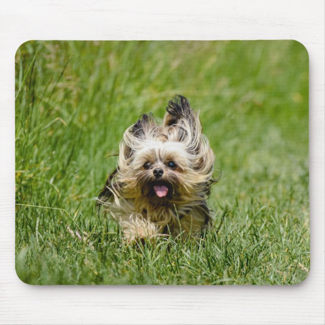 Cute Yorkshire Terrier Running Through Grass Mousepad (Vorne)