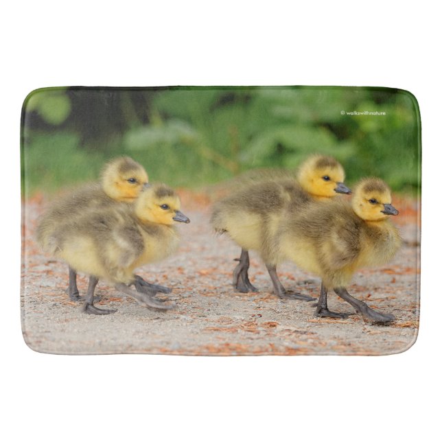 Cuteness on Parade: Kanada Goose Goslings Badematte (Vorderseite)