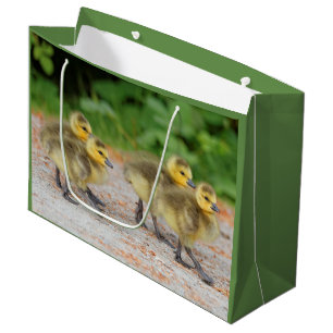 Cuteness on Parade: Kanada Goose Goslings Große Geschenktüte