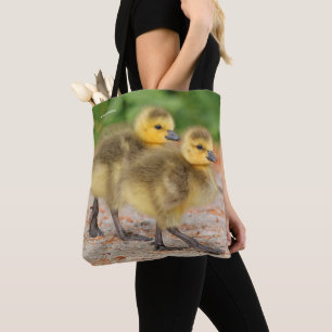 Cuteness on Parade: Kanada Goose Goslings Tasche