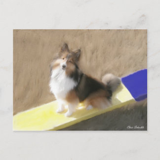 CuteShetland Schäferhund, der auf einer Schaukel Postkarte