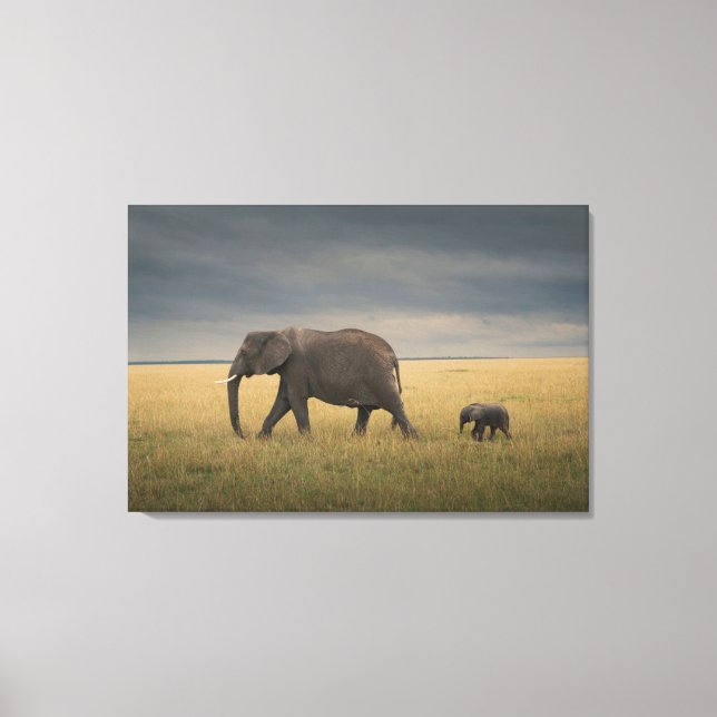 Cutest Baby Animals | African Elephant Family Leinwanddruck (Vorderseite)