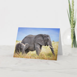 Cutest Baby Animals   African Elephant & Mother Karte