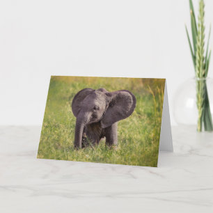Cutest Baby Animals   Baby Elephant Kenya Africa Karte