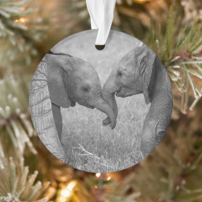 Cutest Baby Animals | Baby Elephants Greeting Ornament (Baum)