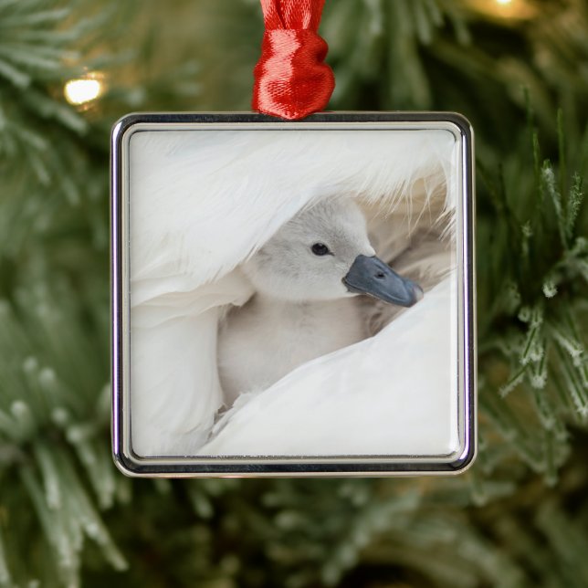 Cutest Baby Animals | Baby Mute Swan Ornament Aus Metall (Baum)