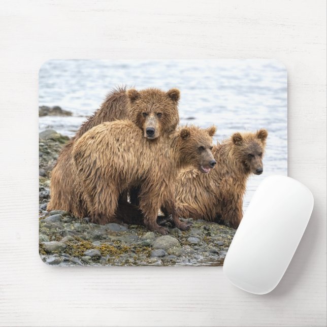 Cutest Baby Animals | Bear & Cubs Mousepad (Mit Mouse)