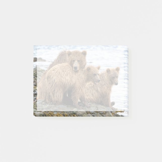 Cutest Baby Animals | Bear & Cubs Post-it Klebezettel (Vorderseite)